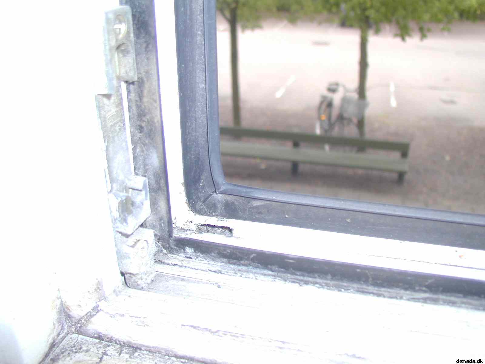 * Image 12