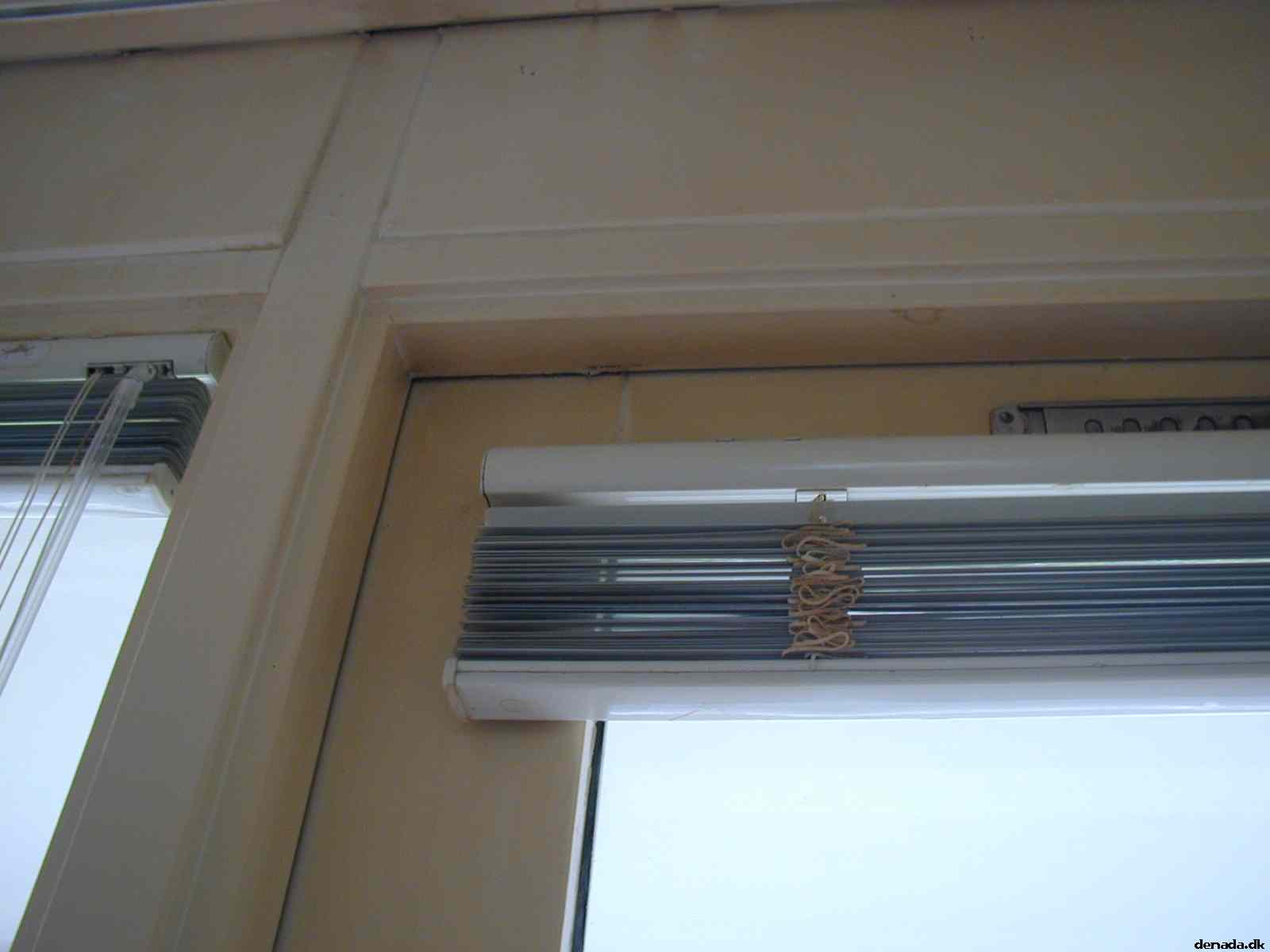 * Image 15