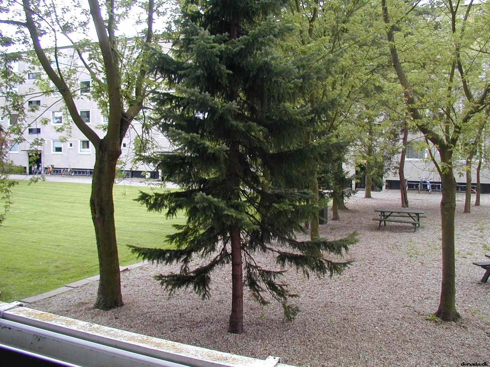 * Image 23