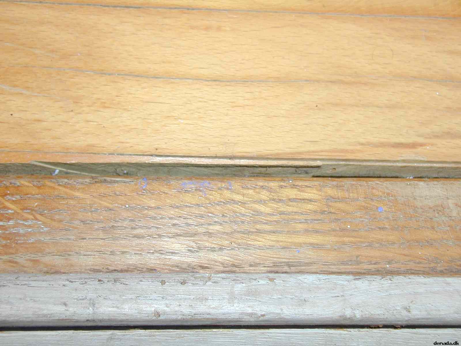 * Image 38