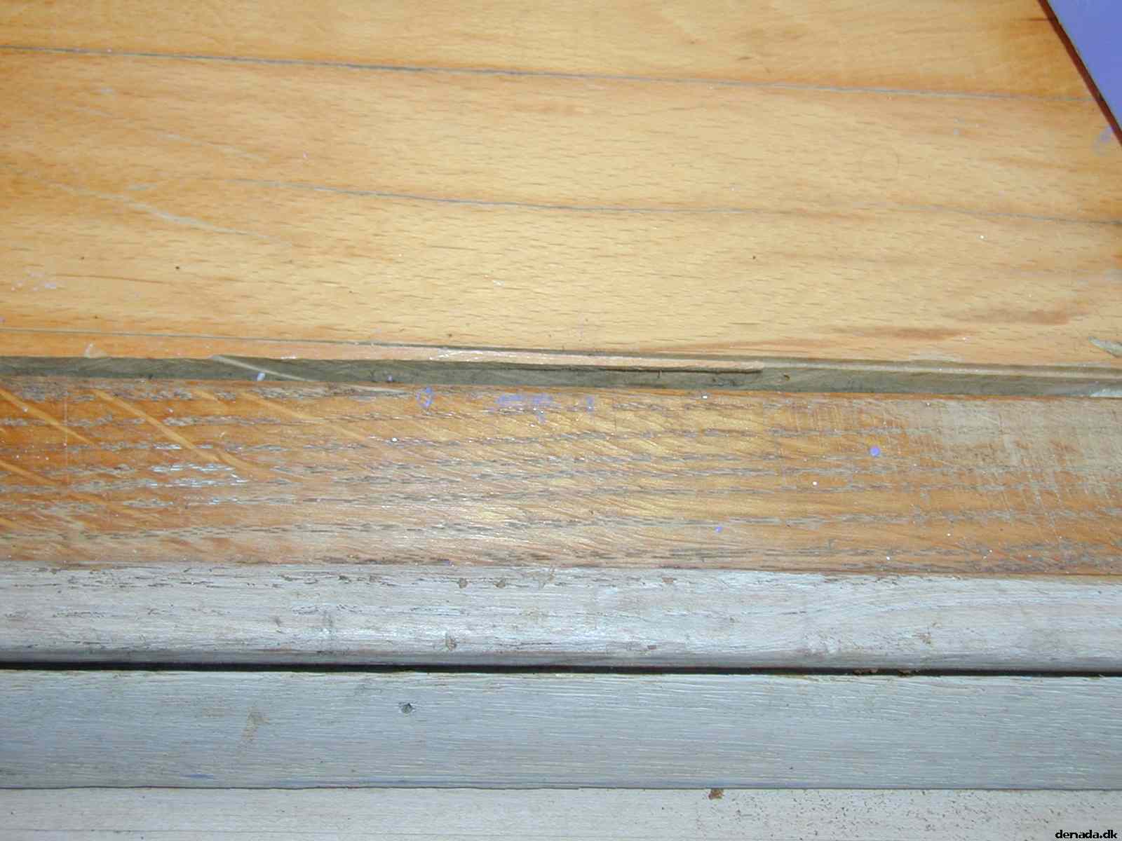 * Image 39