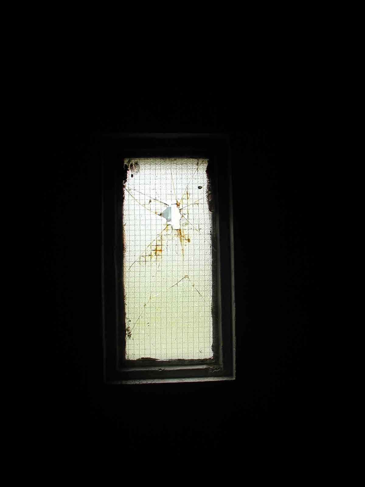 * Image 66