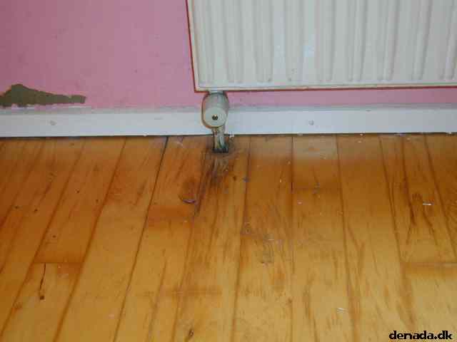 * Image 5