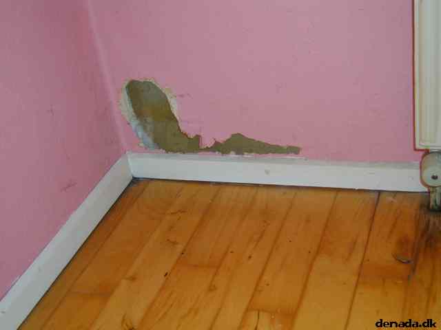 * Image 6