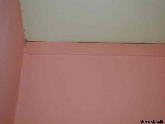 * Image 7
