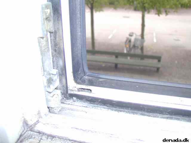 * Image 12
