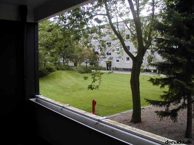 * Image 22