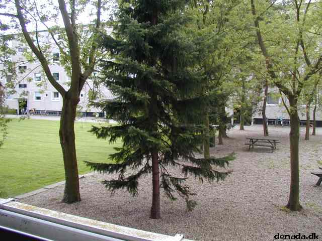 * Image 23