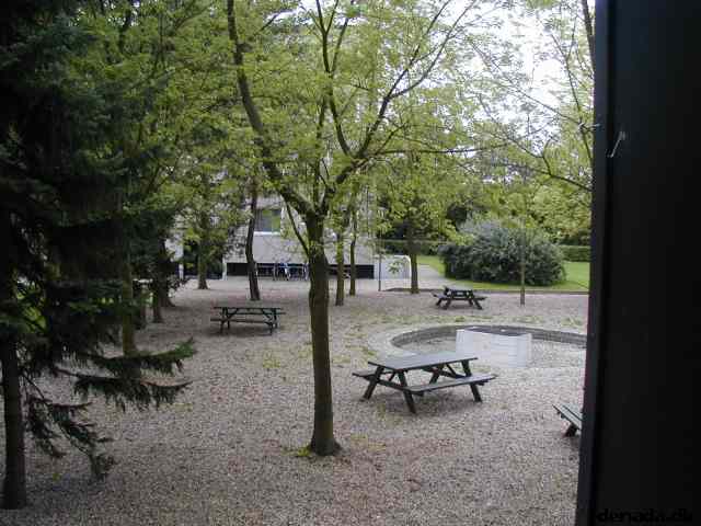 * Image 24