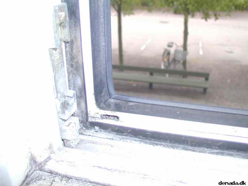 * Image 12