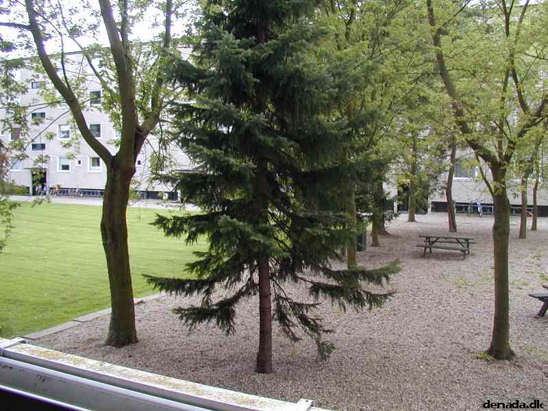 * Image 23