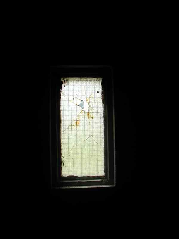 * Image 66