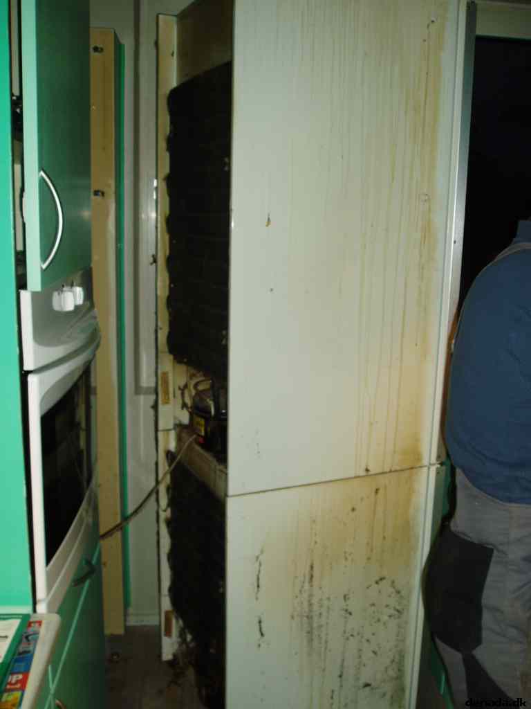 * Image 1