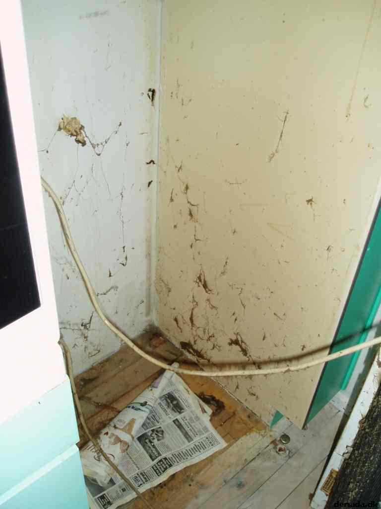 * Image 3