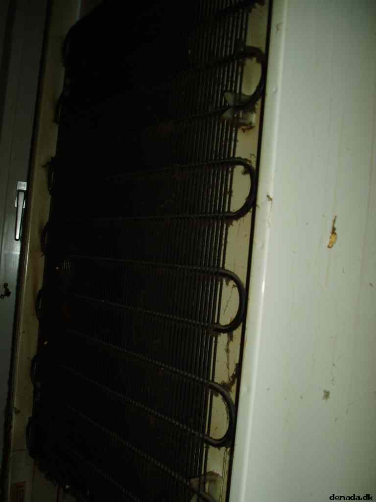 * Image 5
