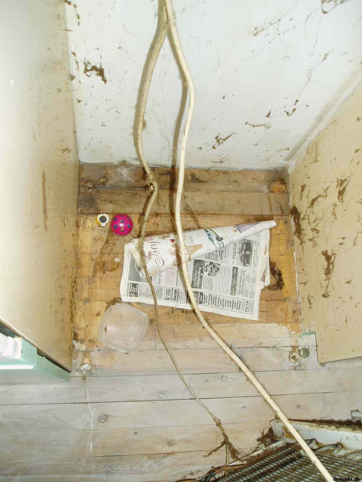 * Image 4
