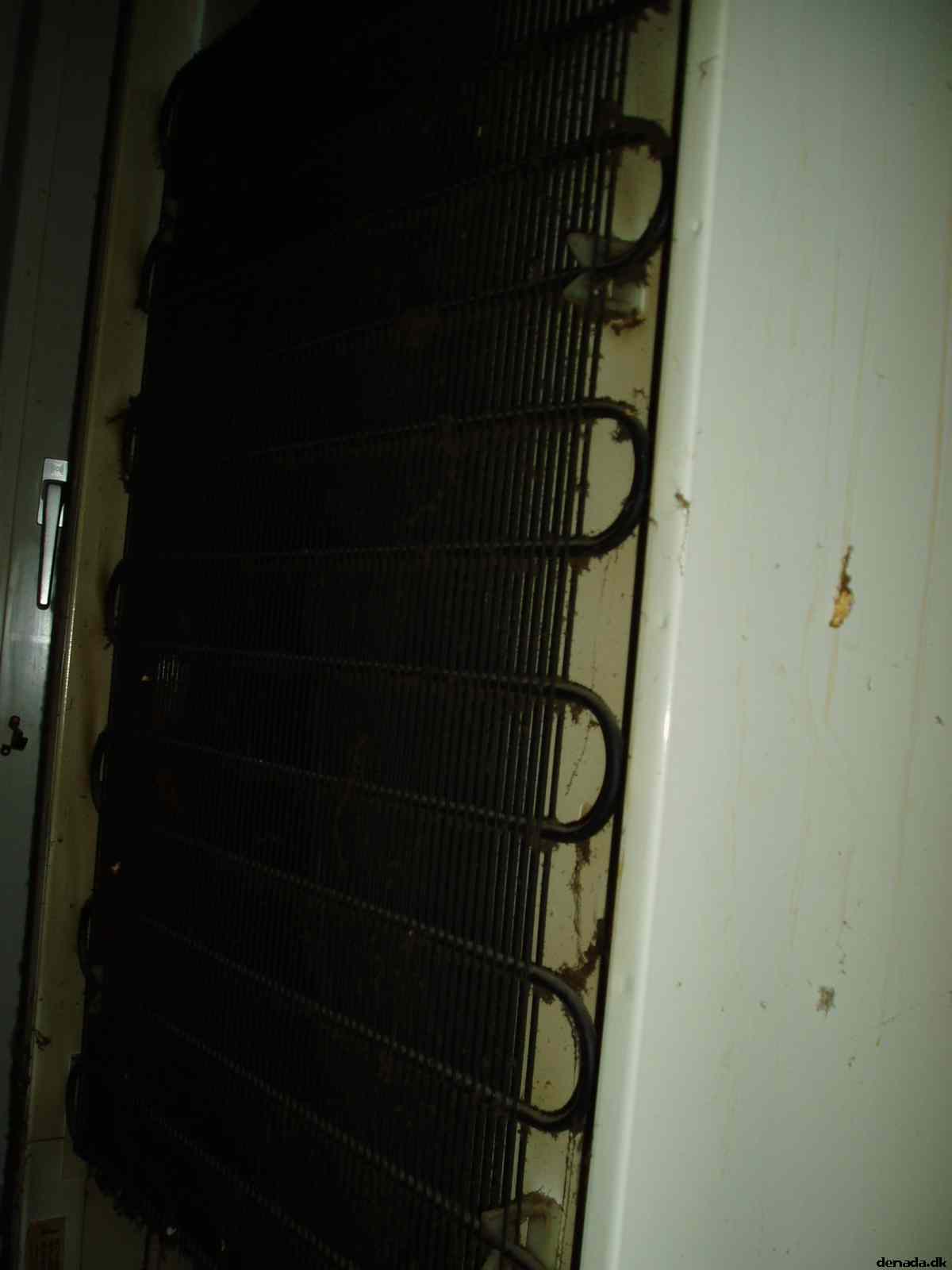 * Image 5