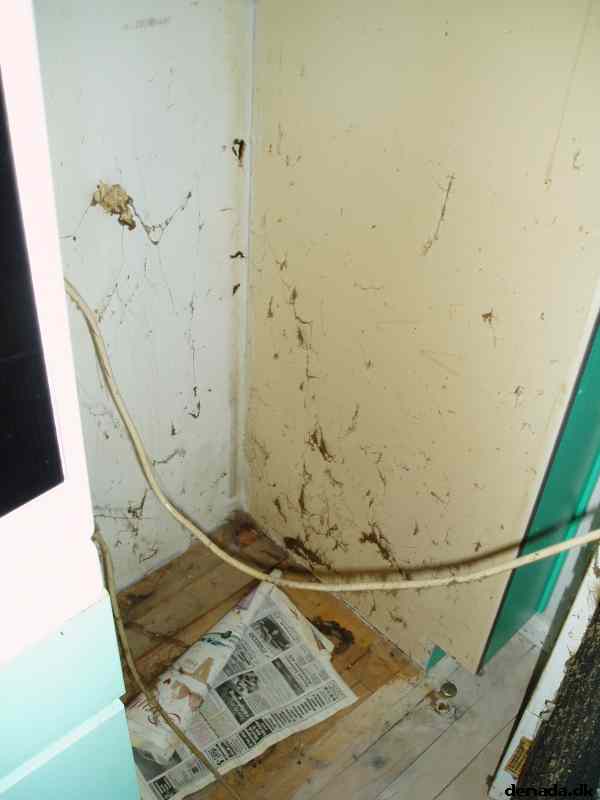 * Image 3