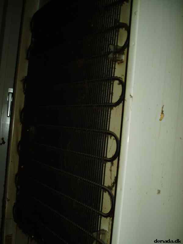 * Image 5