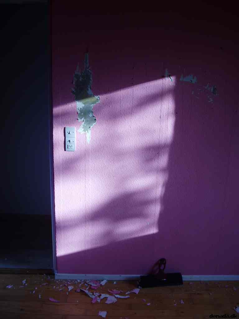 * Image 4