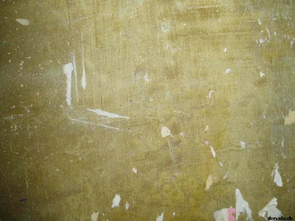 * Image 7