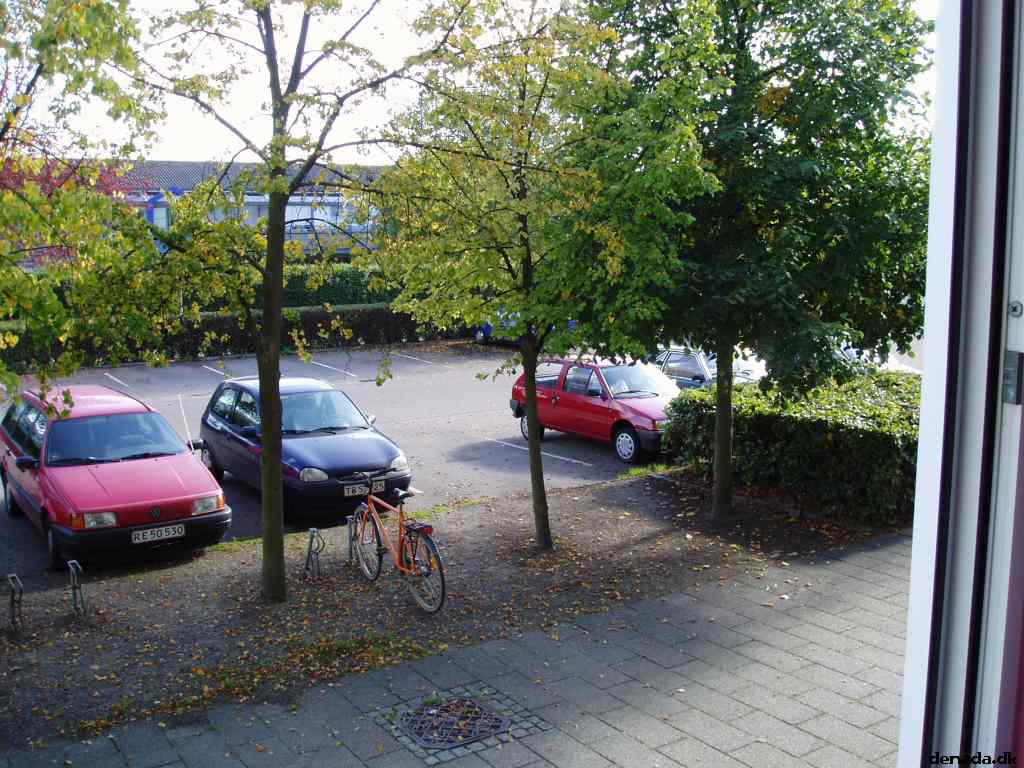 * Image 8