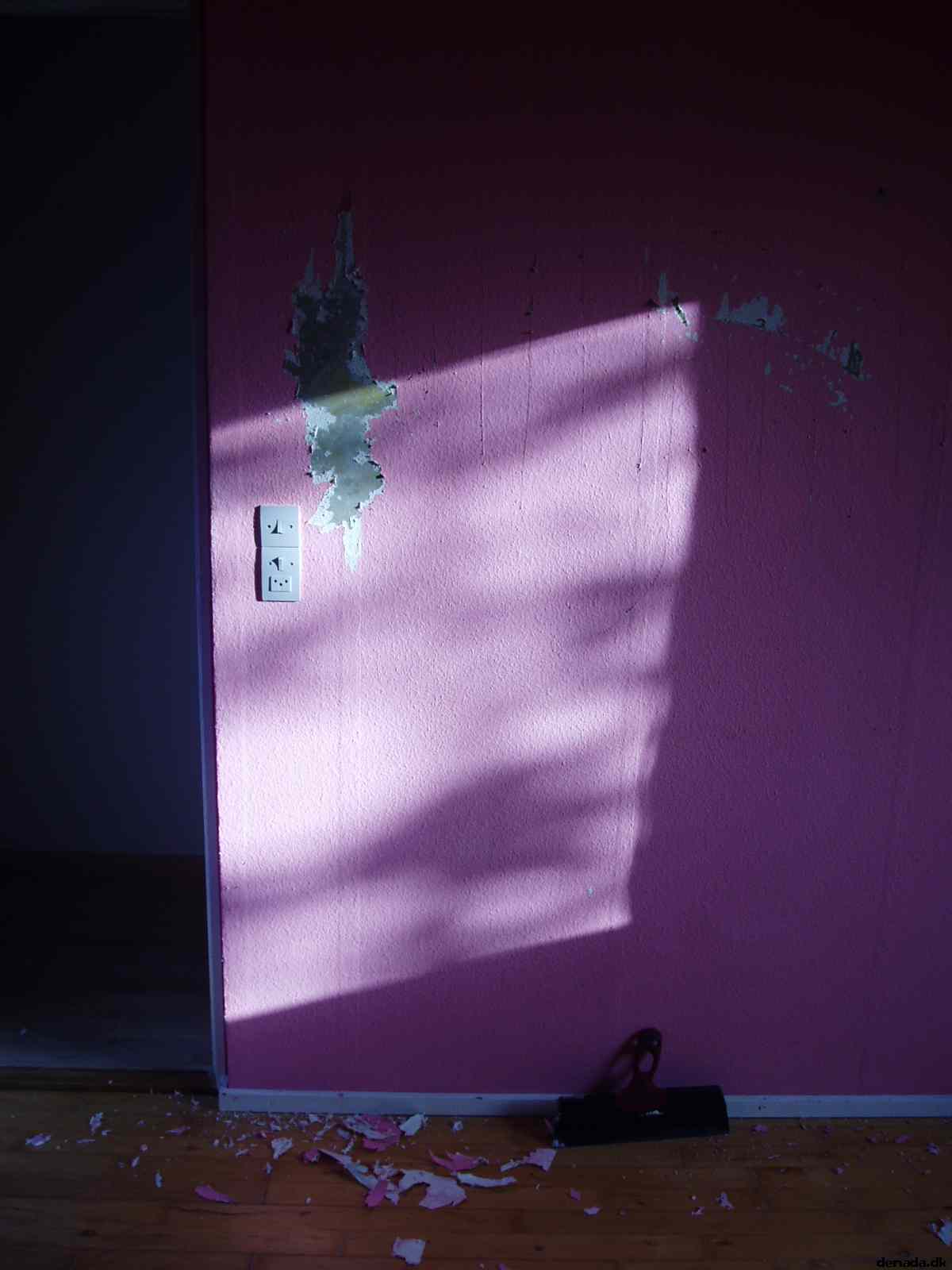 * Image 4