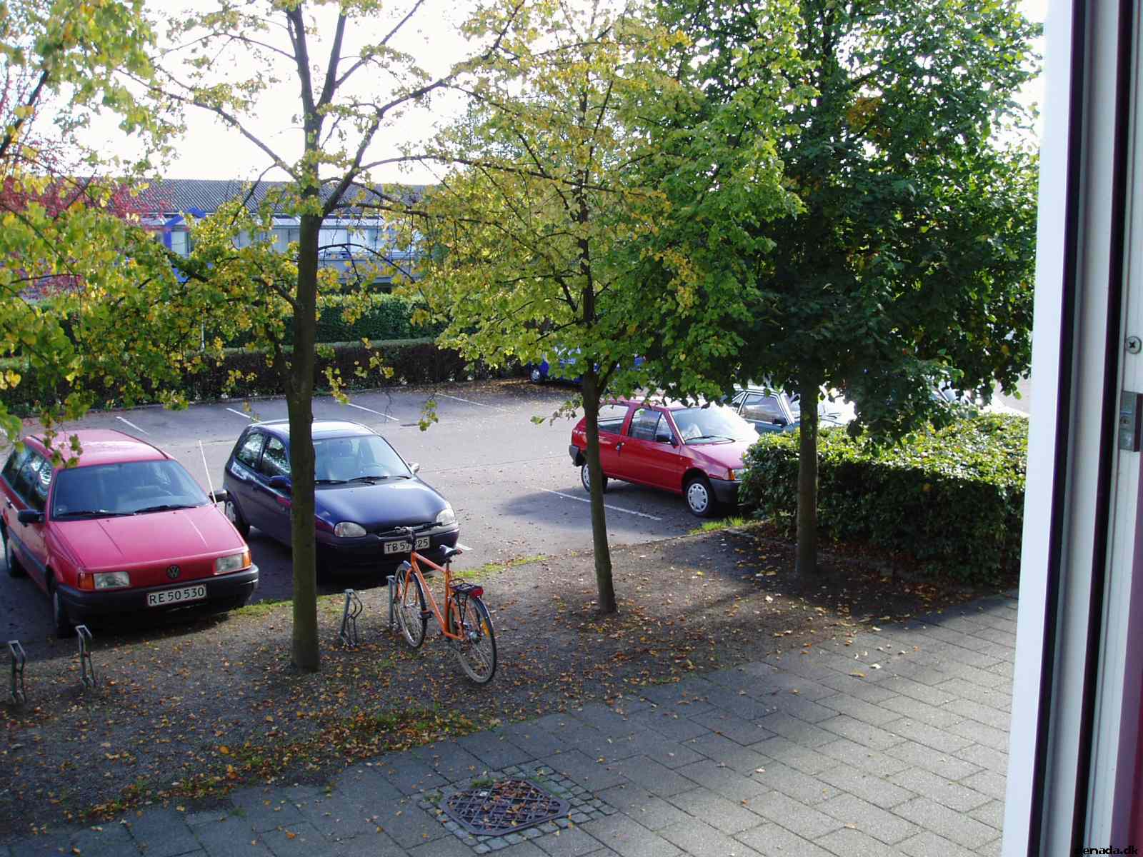 * Image 8