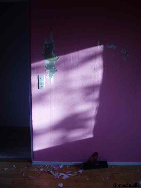 * Image 4