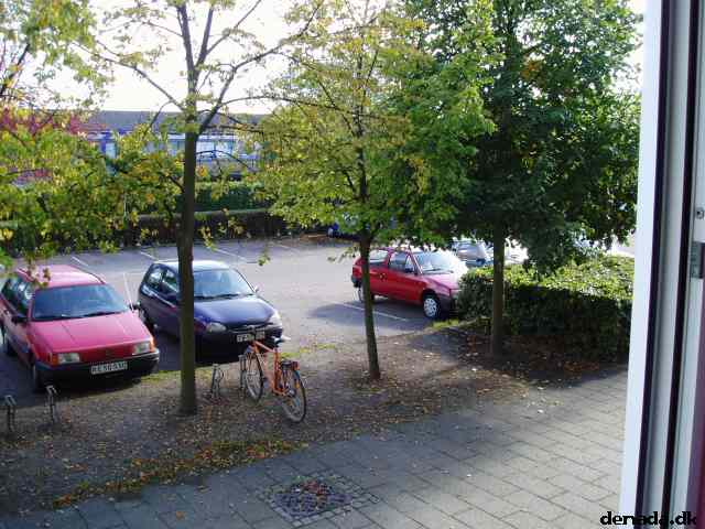 * Image 8