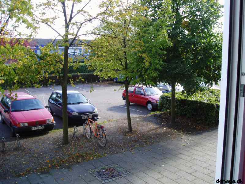 * Image 8