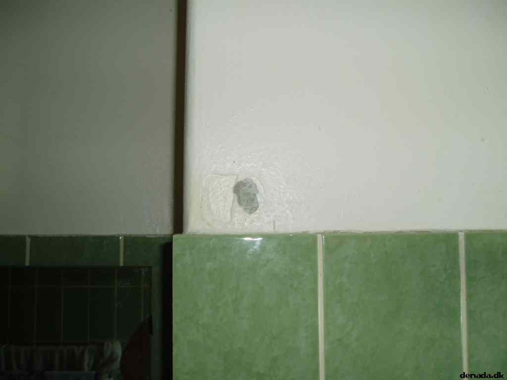 * Image 7