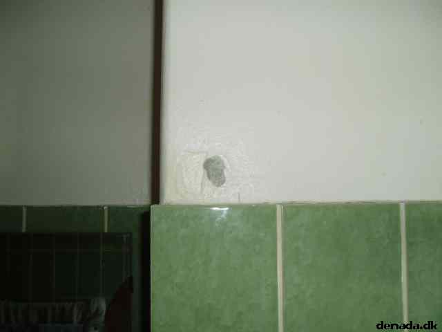 * Image 7