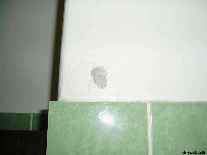 * Image 6