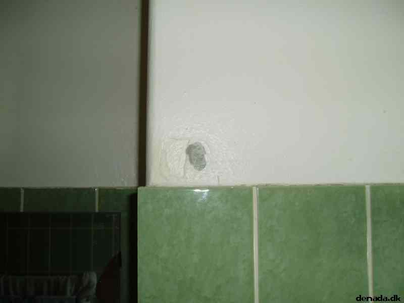 * Image 7