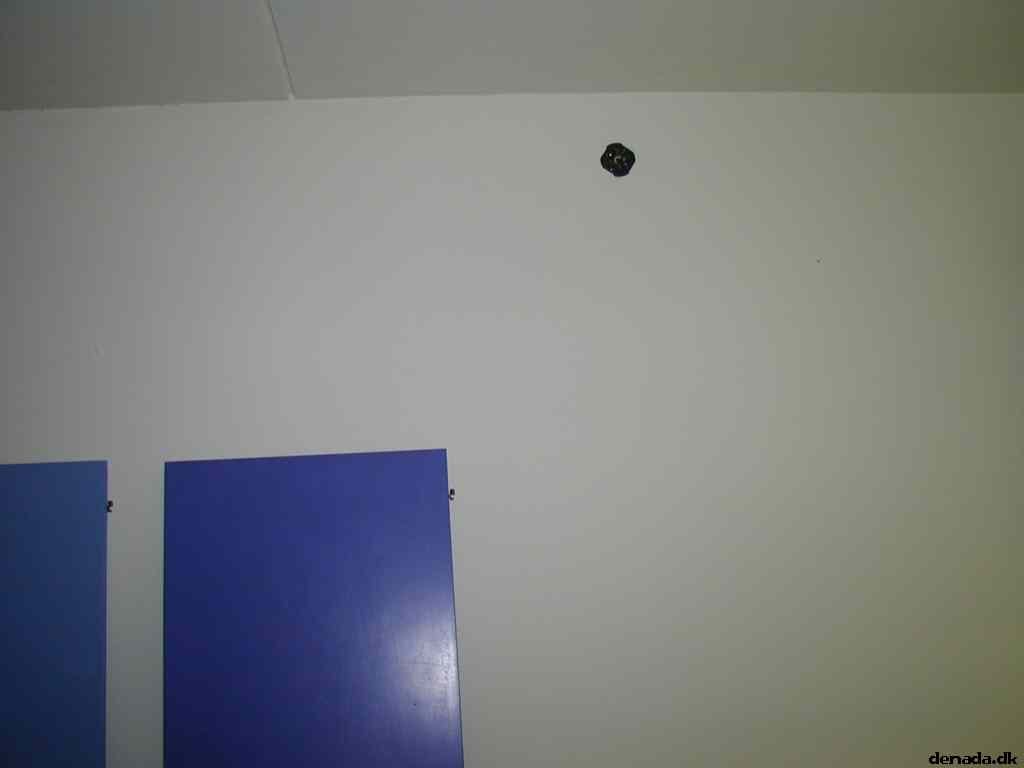* Image 2