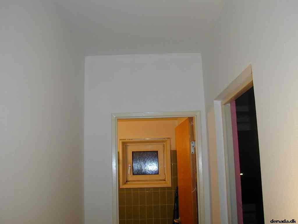 * Image 3
