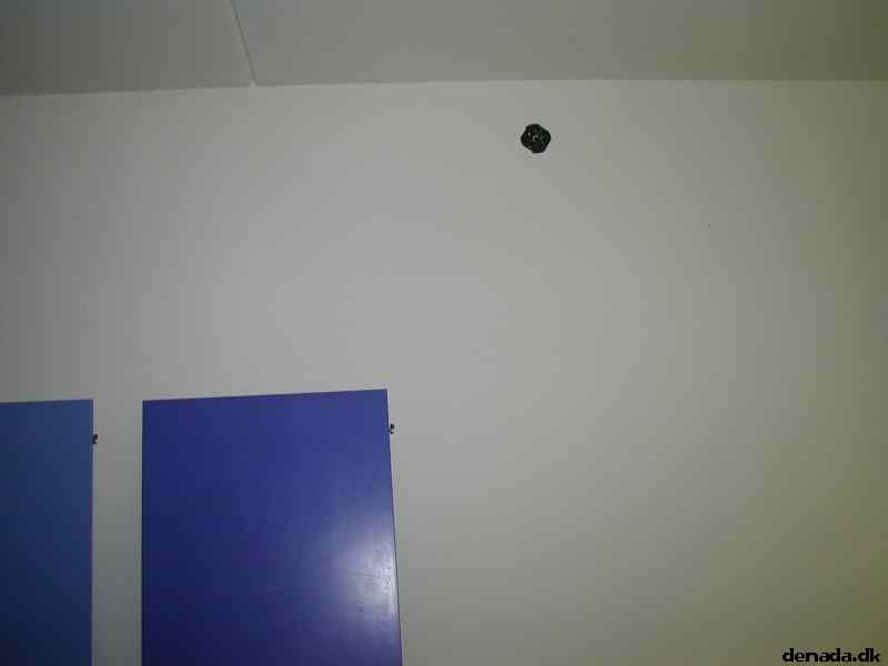 * Image 2