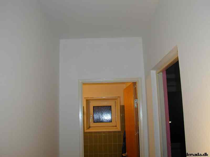 * Image 3