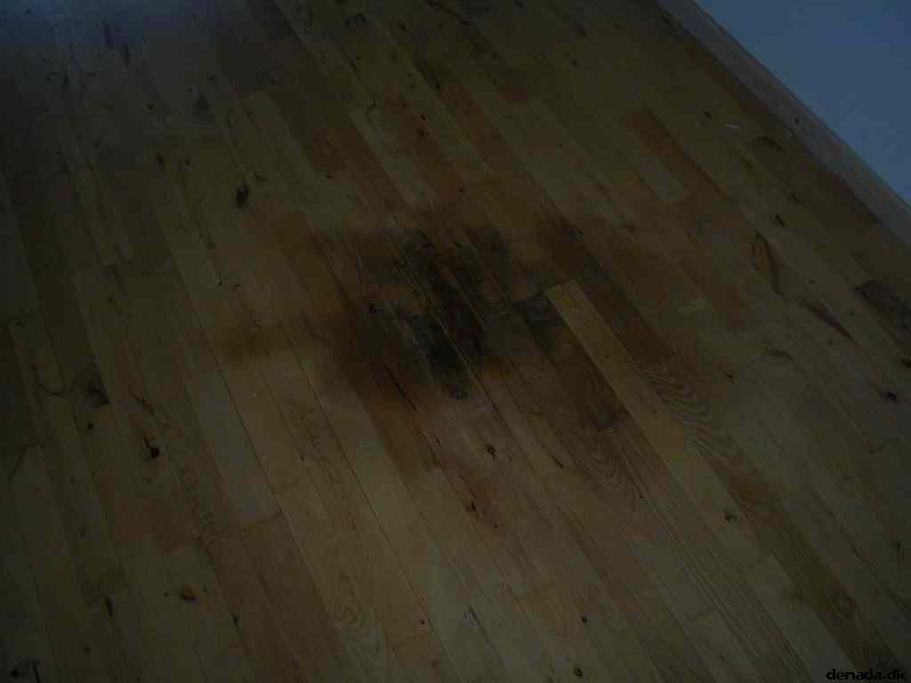 * Image 1