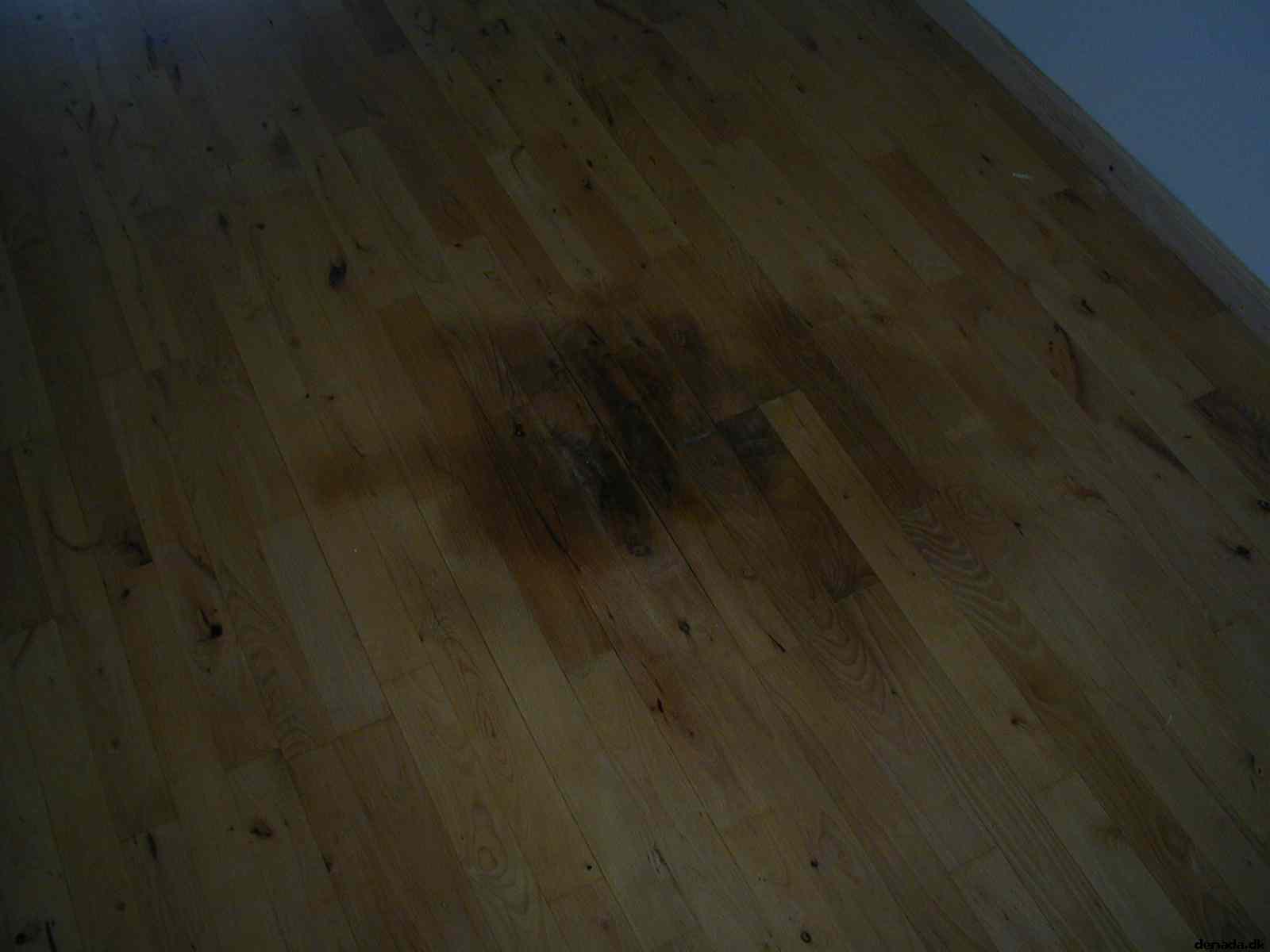 * Image 1