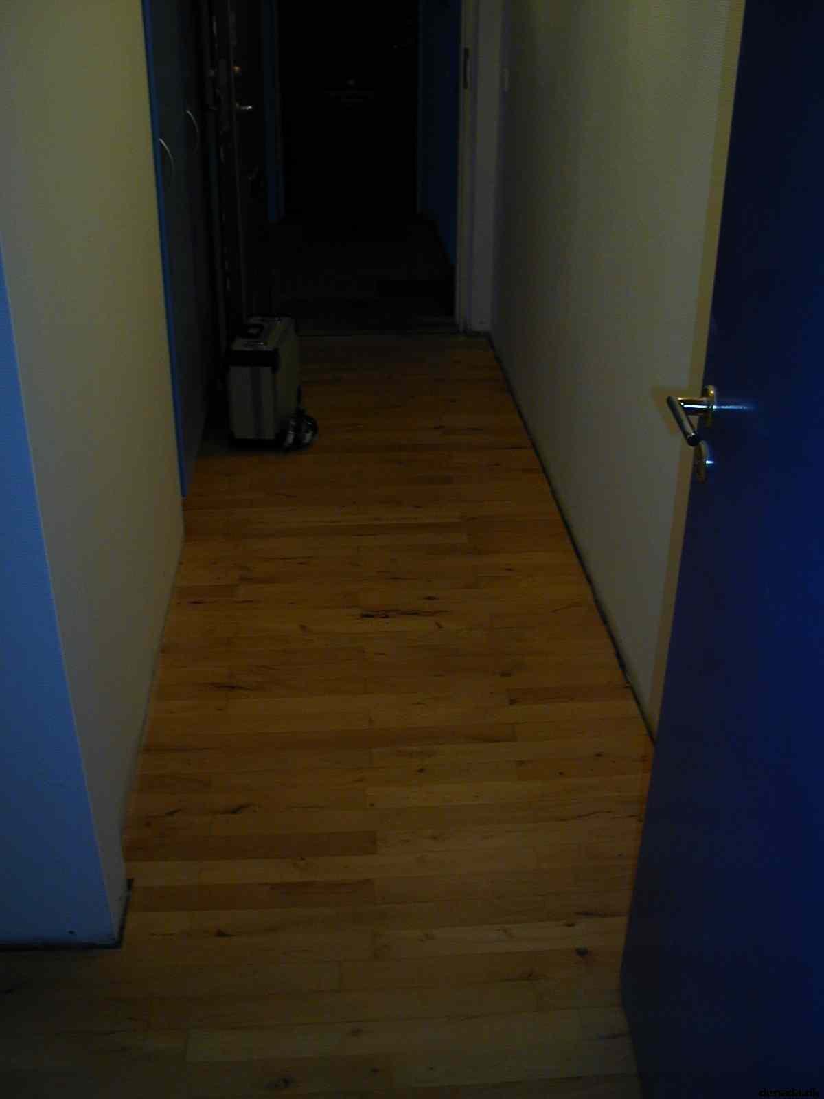 * Image 5