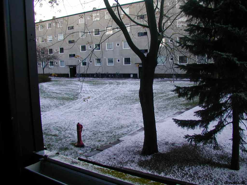 * Image 3
