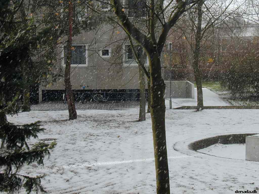 * Image 6
