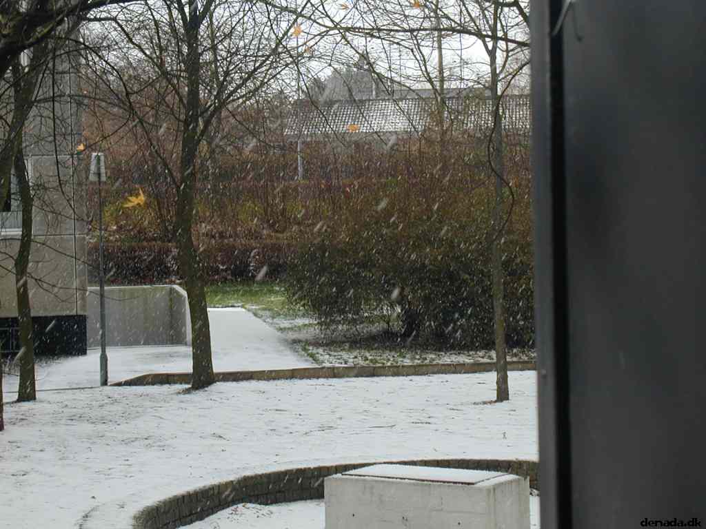 * Image 8