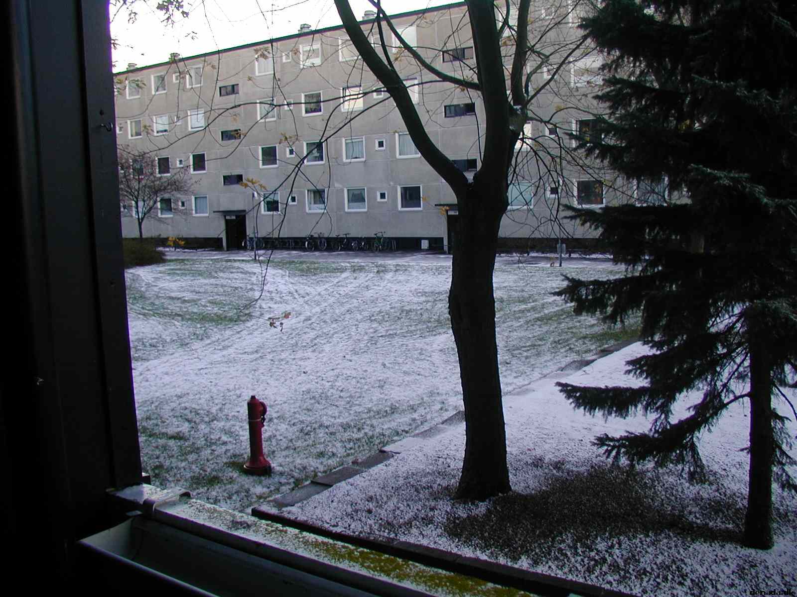 * Image 3