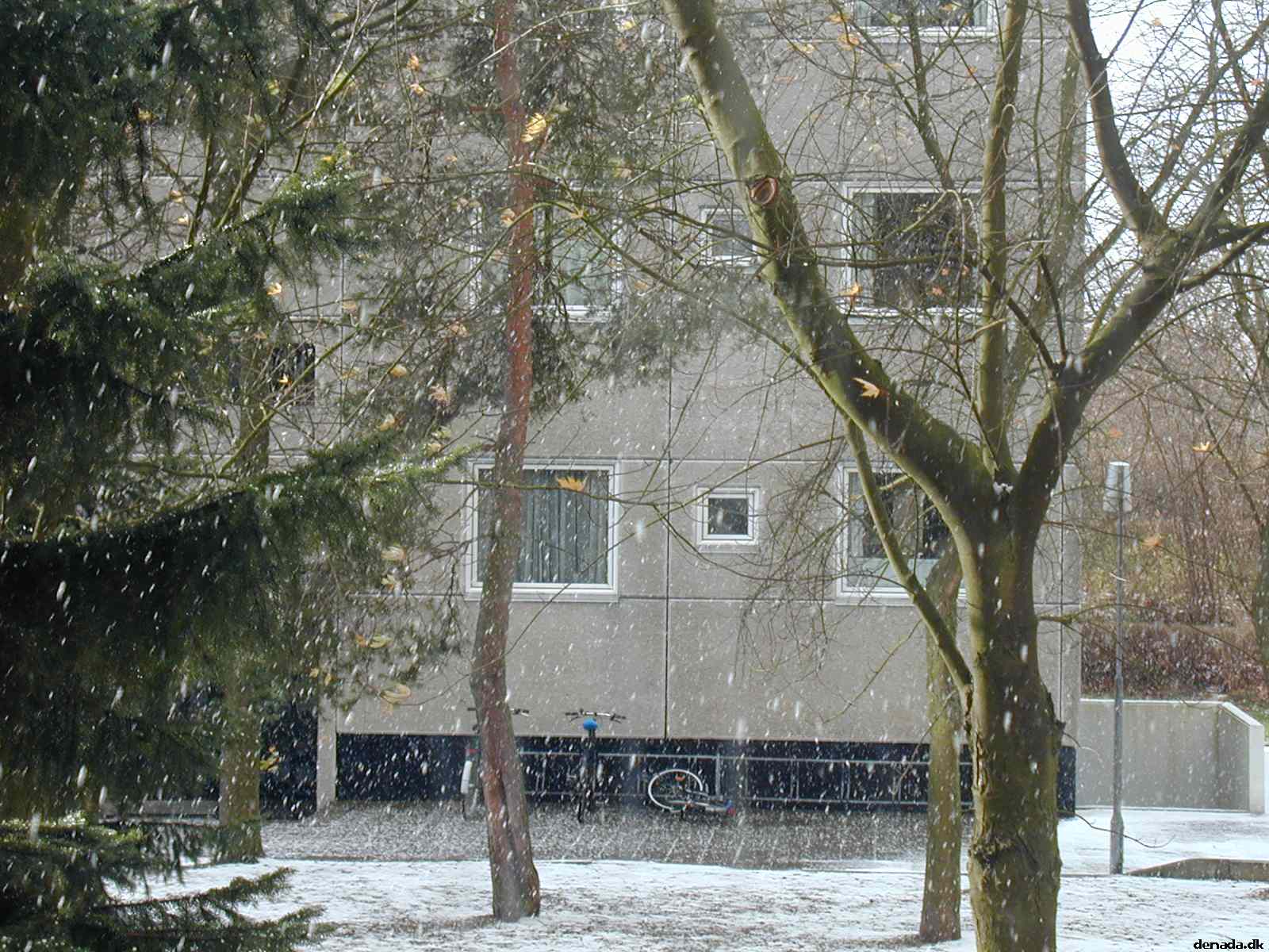 * Image 5