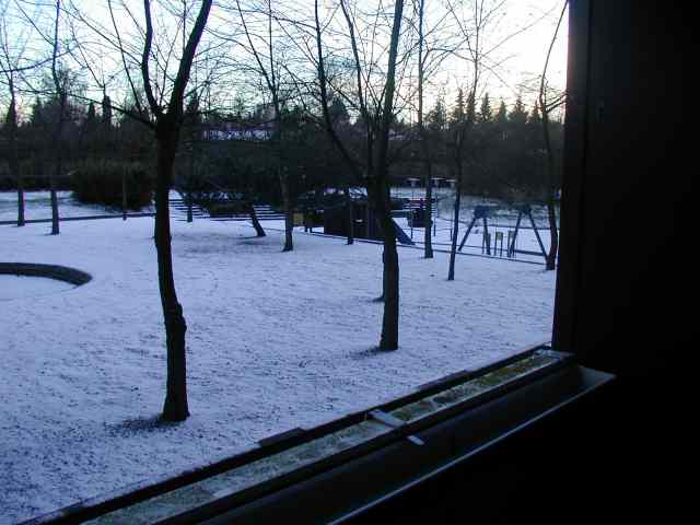 * Image 1