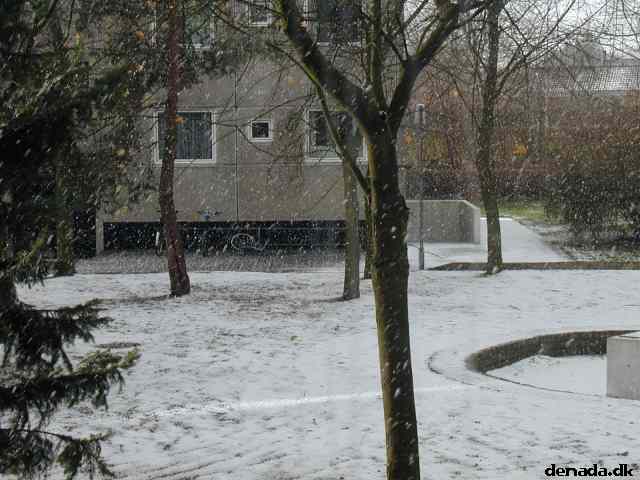 * Image 6