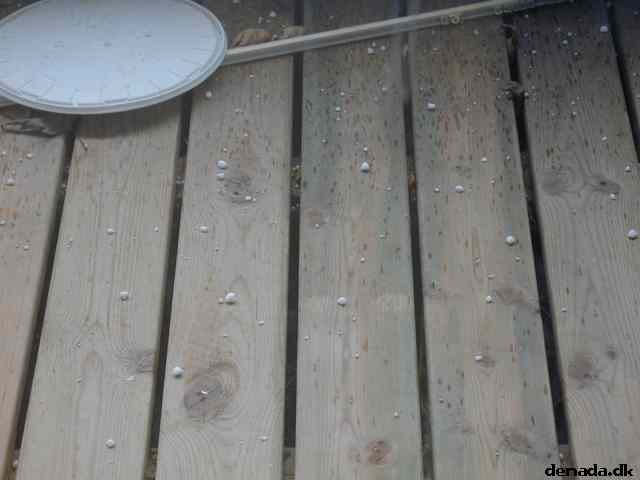 * Image 7